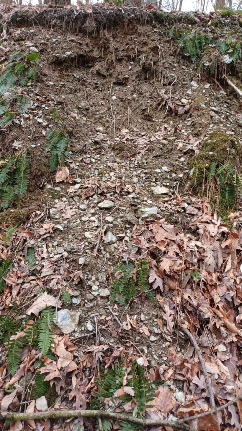 Erosion causing Slump (Mass wasting). Credit: Susan Charkes