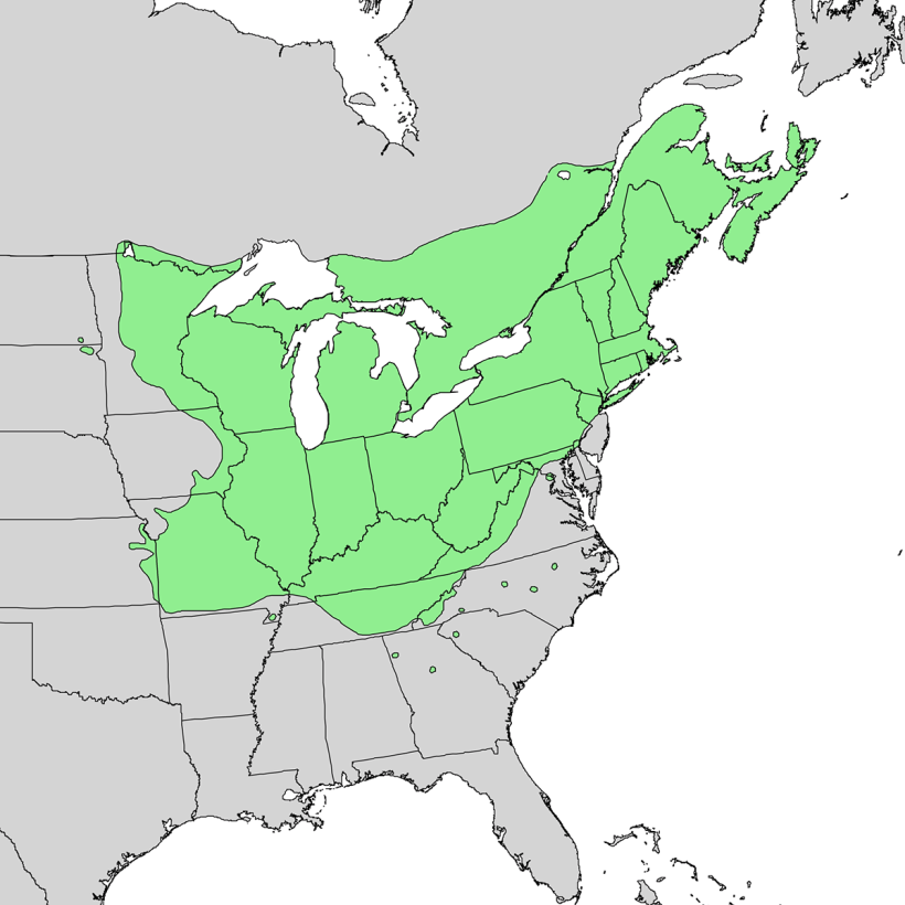 Current distribution map of Sugar Maple (Acer rubrum). This species is not projected to do well in southeastern Pennsylvania given current climate predictions. Map by Elbert L. Little, Jr., via Wikimedia Commons