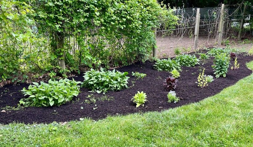 Native plant pocket garden challenge