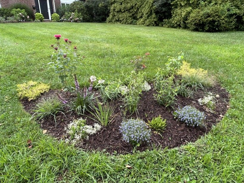 staff native plant pocket garden challenge
