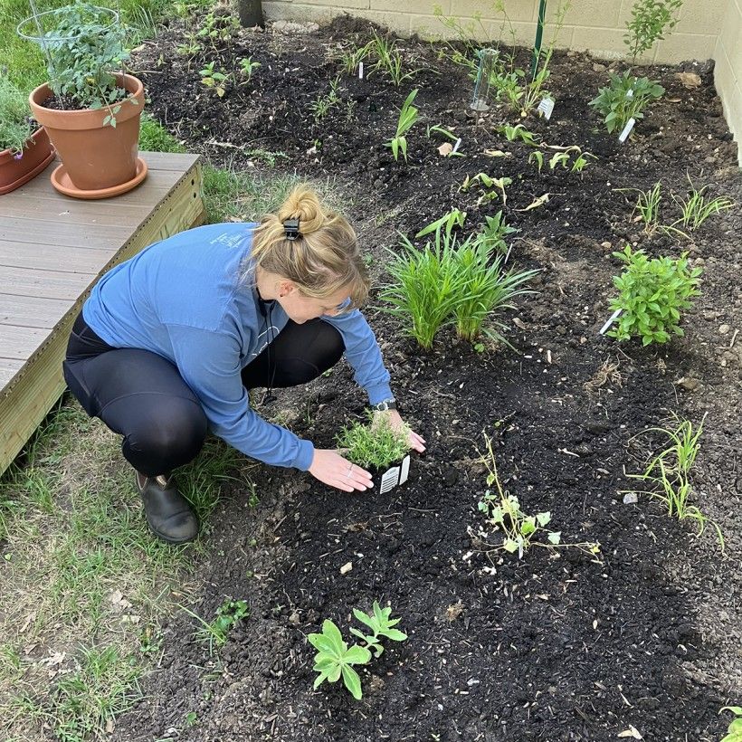 Native plant pocket garden challenge entry