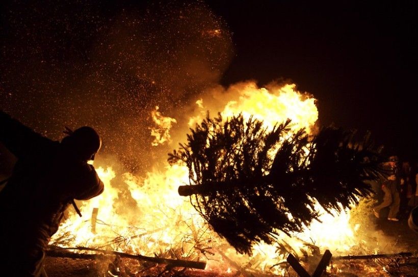 a Christmas tree gets thrown onto a bonfire