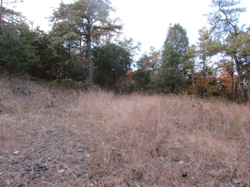 Photo credit: Chris Hoess Serpentine Barrens