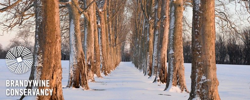 eCurrents Winter 2023 header