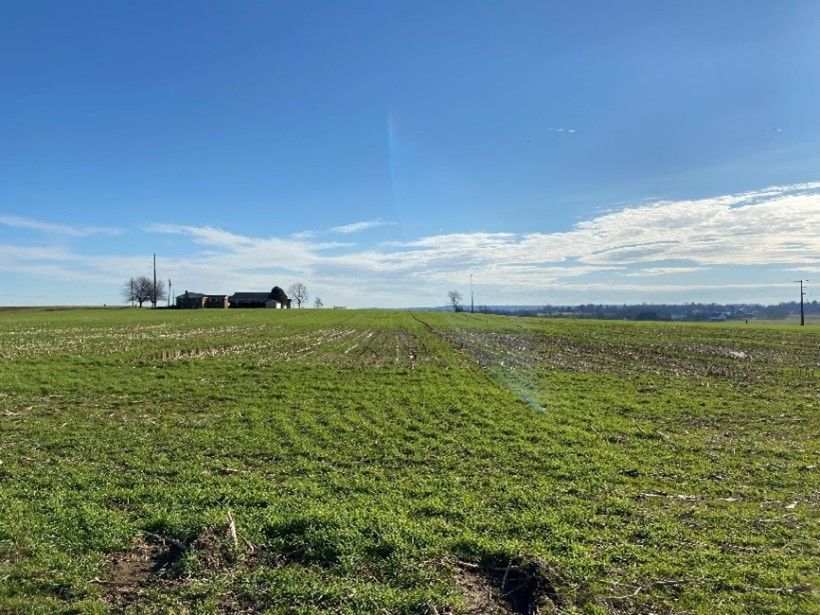 wide view of a Chester County, Pennsylvania farm in December with green grass and blue sky overhead