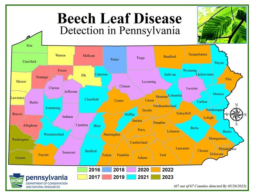 a color-coded map of beech leaf disease detected in the state of Pennsylvania