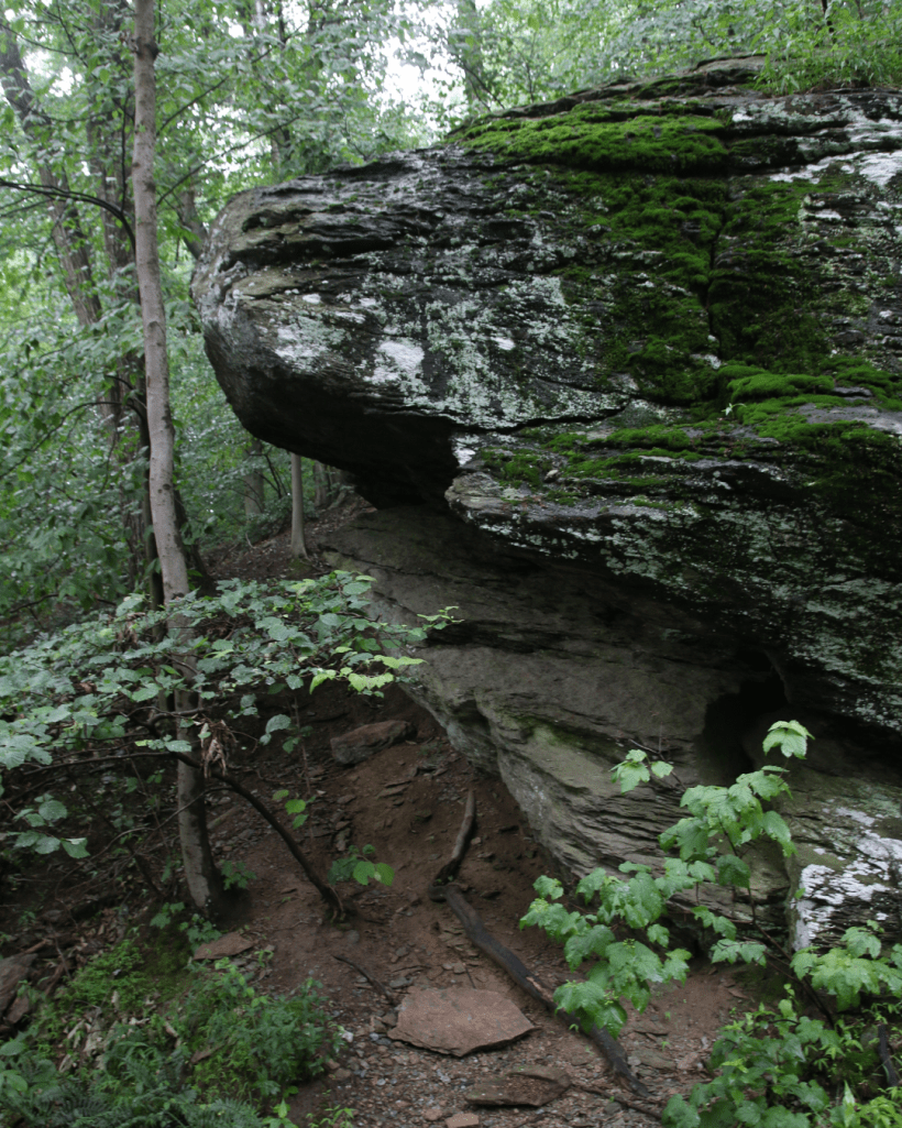 A path in a wooded forest surrounded by green foliage and a giant boulder.
