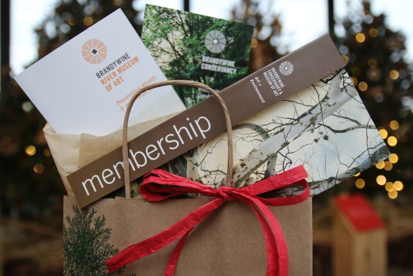 Museum membership brochure in a gift bag