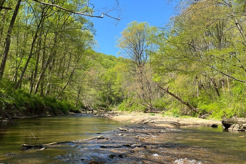 Big Elk Creek. Photo credit: Connor Smeader Wide shot of a creek surrounded by tall trees on a blue-sky day