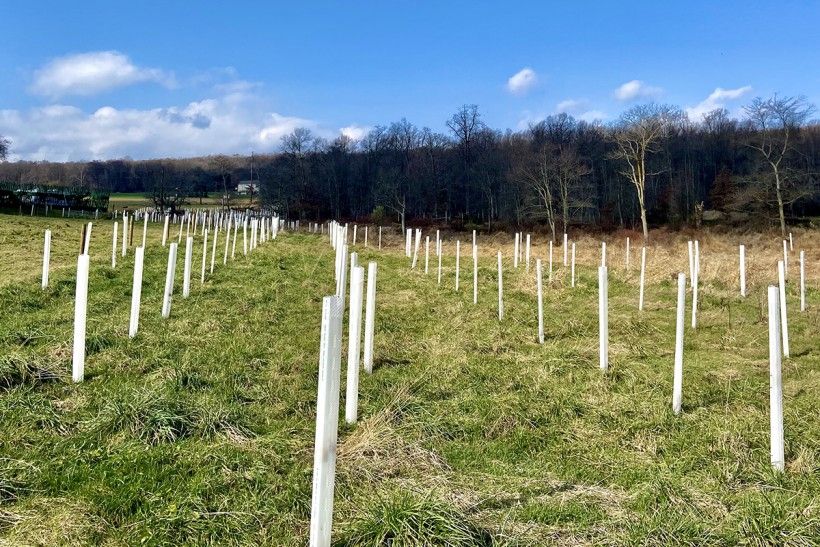 Photo credit: Lisa Timbers A green farm field with white poles in summer