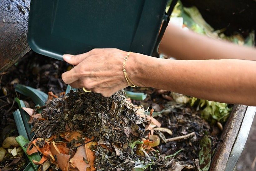 Photo credit: Bernard Dejean via Wikimedia Commons close-up image of hands dumping compost from a composting bin into a larger container