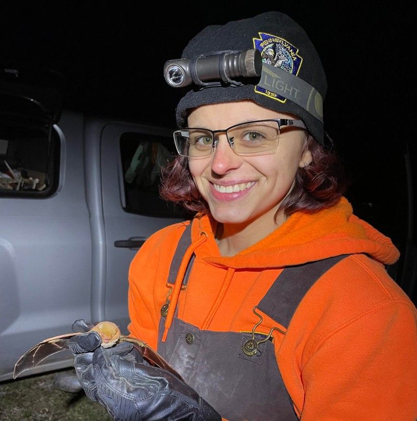 Mollie Byrne holding an Eastern red bat. Photo credit: PGC square image taken at night of a woman holding a bat in a gloved hand and smiling