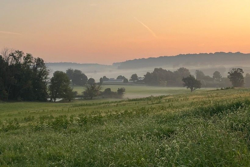photo of sun rising over rolling hills on protected land