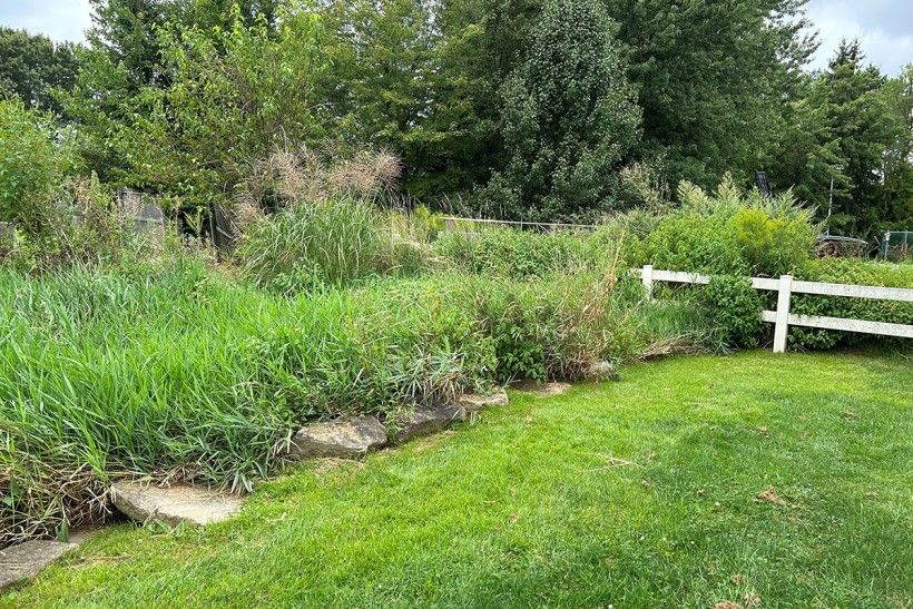 Before Phase II before photos of a GSI stormwater project