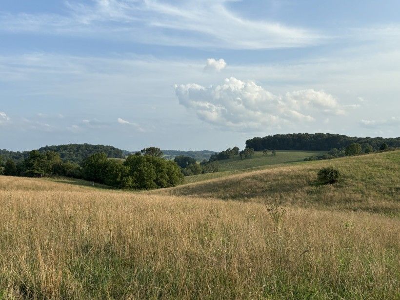 Photo credit: Stephanie Armpriester landscape photo of open space and rolling hills