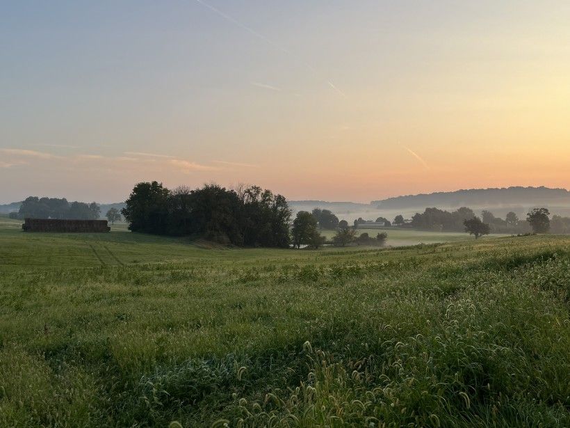 landscape view of the sun rising over misty rolling hills