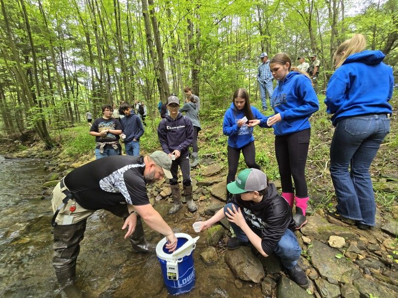 a group of young people release trout into a stream in a wooded area