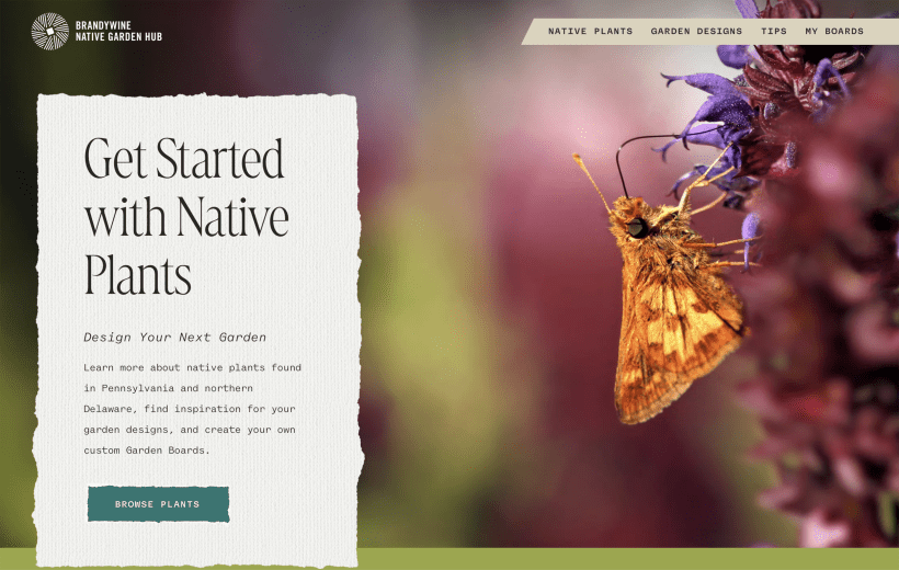 screenshot of Brandywine Native Garden Hub homepage