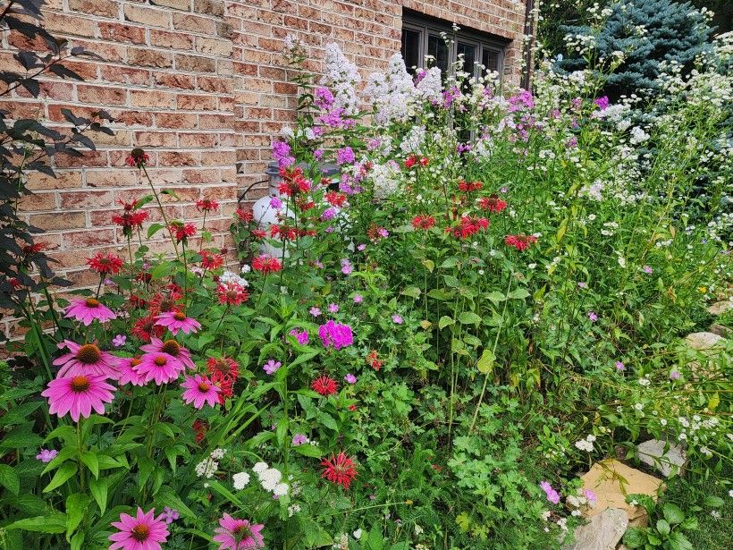 Pink and white flowers lining the the side of a house