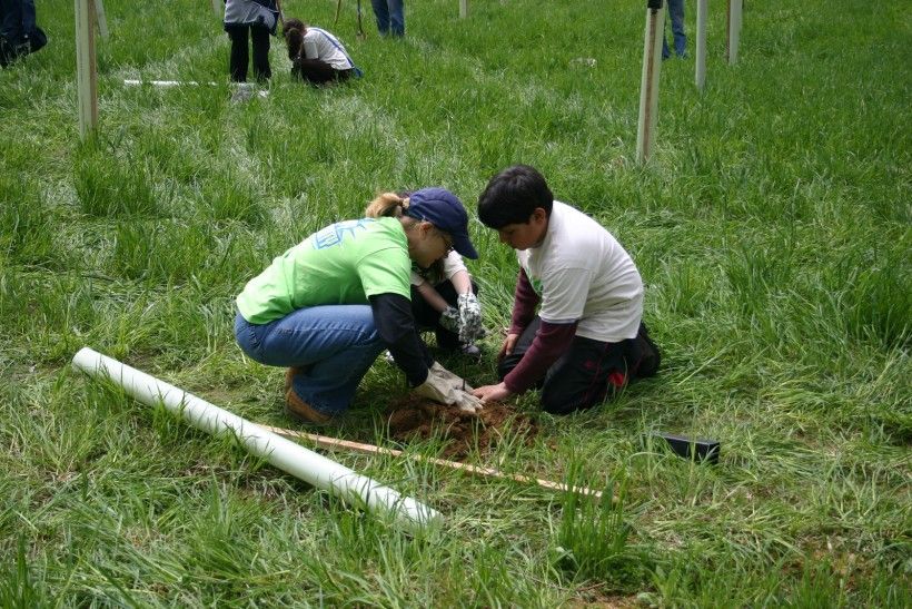 Woman and child planting a tree