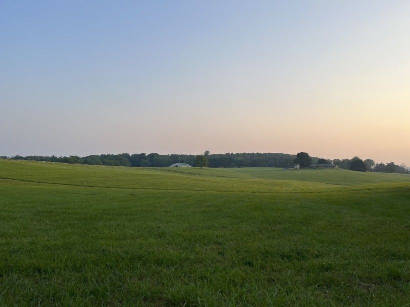 Credit: Stephanie Armpriester Green rolling hill with trees in the background, surrounded by a sunset