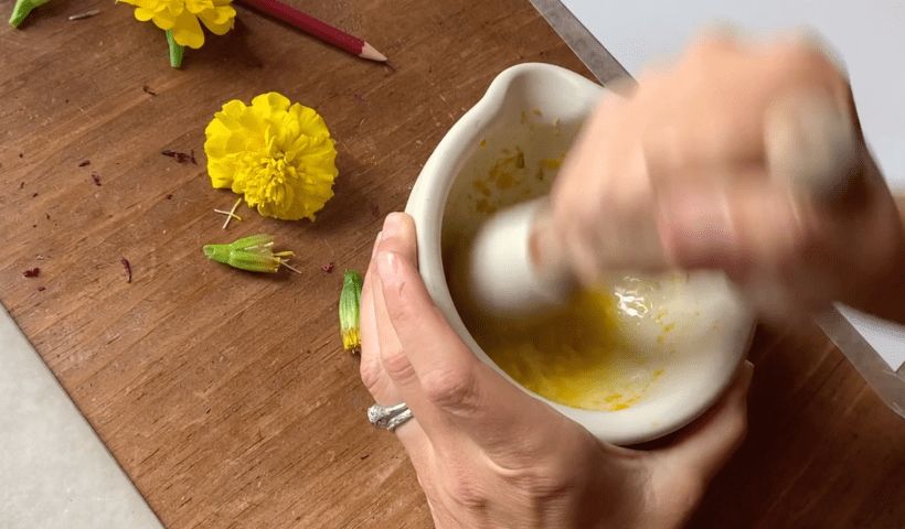 Up close shot of hands holding a mortar and pestle, creating ink out of crushed yellow flowers