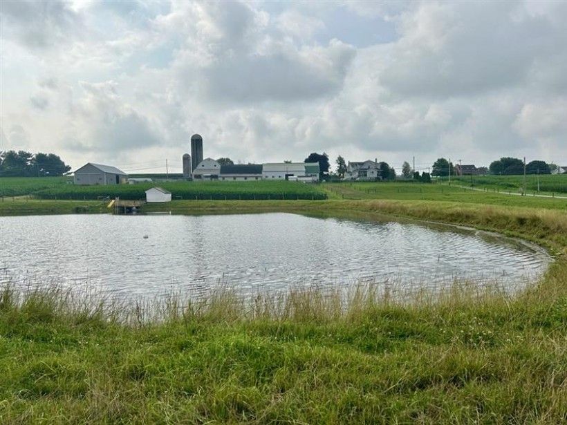 A pond surrounded by tall grass