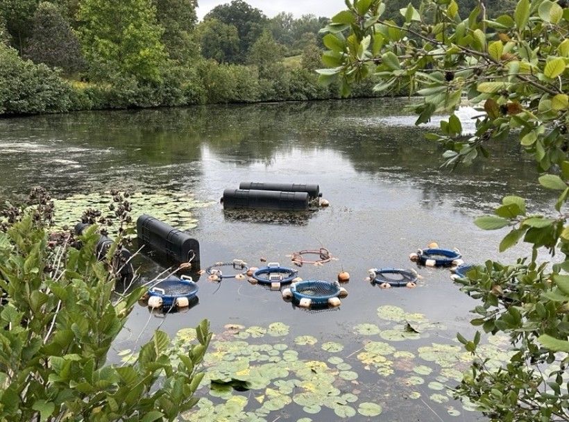 Winterthur Pond–with mussels. Credit: Lisa Timbers Pond surround by trees