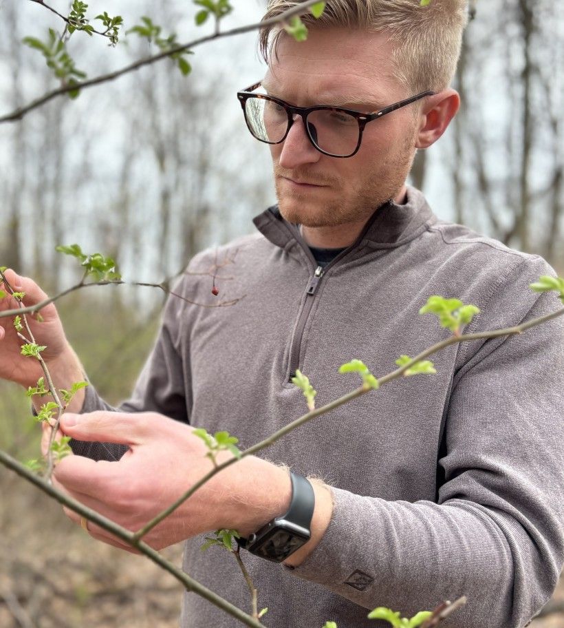 A man examining plants in a wooded area. He is viewed through several branches with small, bright green leaves, creating a layered perspective. 