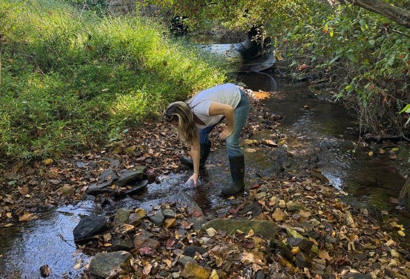 gathering water samples from a creek