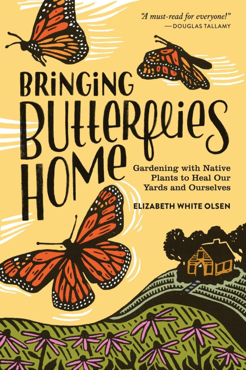 Illustrated book cover
