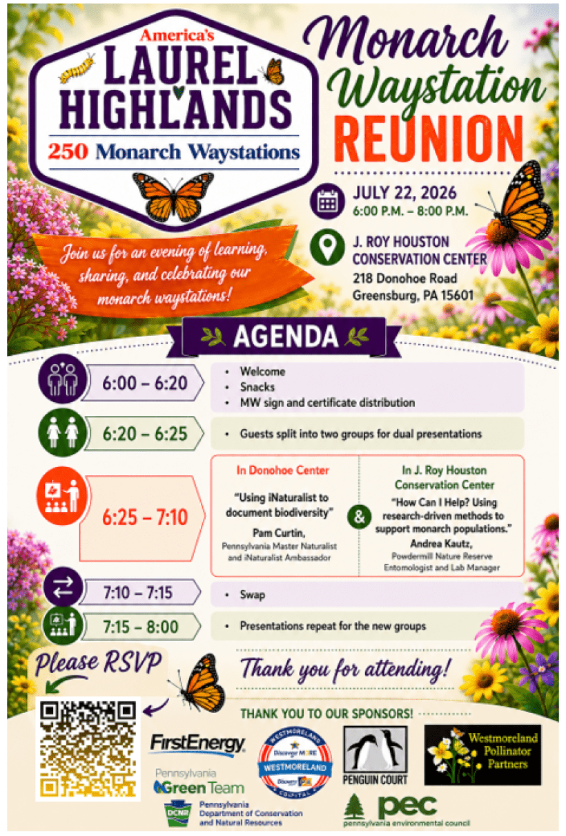 Infographic poster