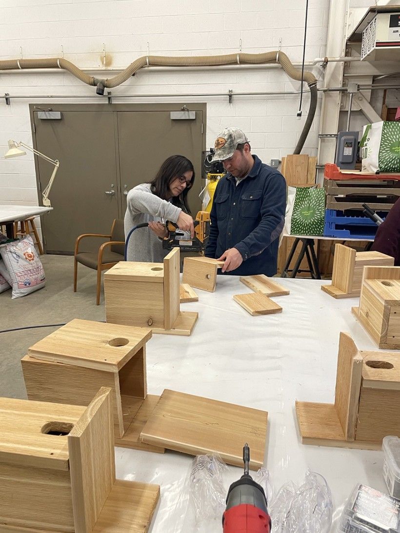 bird box building workshop