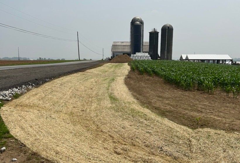 grassed waterway