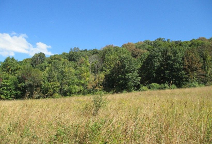 Meadow in East Bradford Township, PA