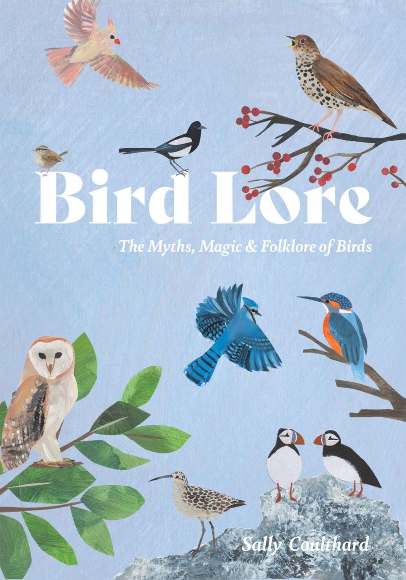 Illustrated book cover with different types of birds