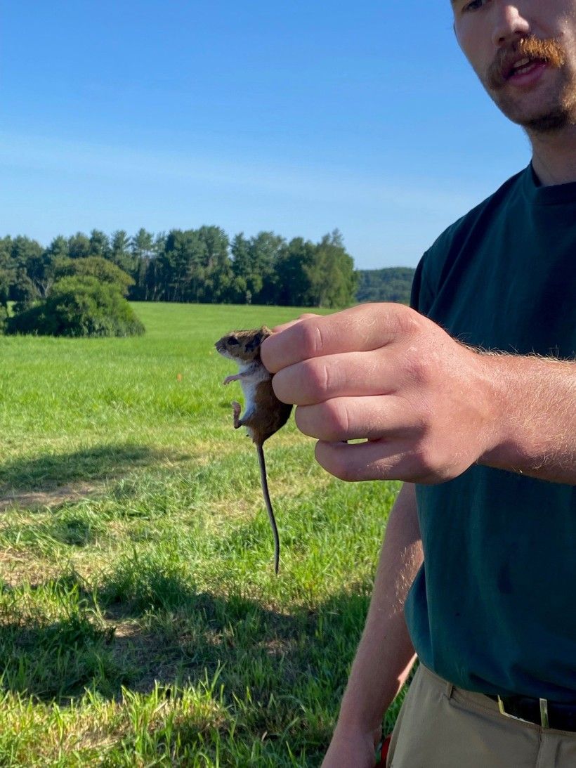 Image of a man holding a mouse