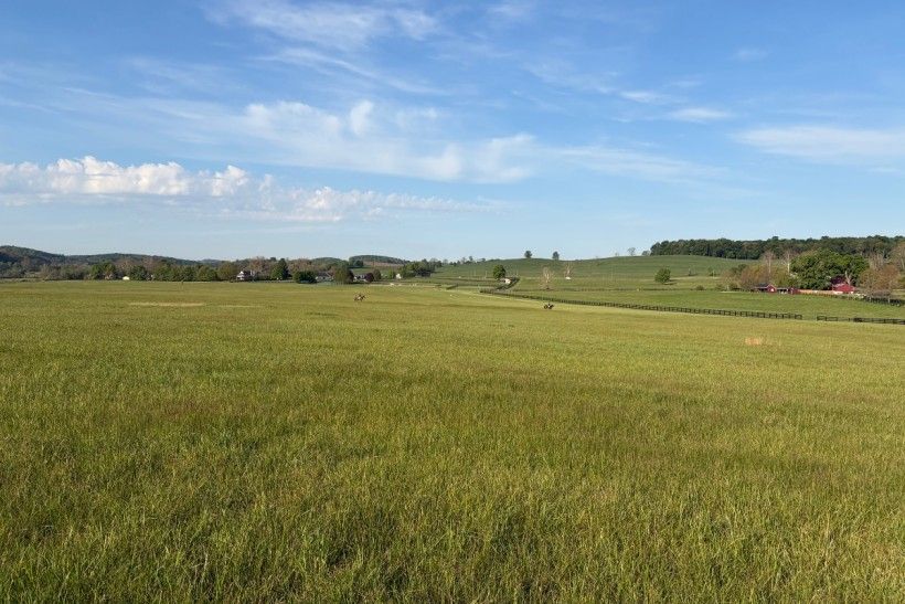 A hayfield in the King Ranch area.