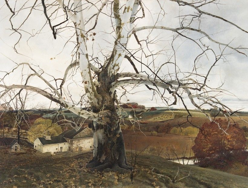 Andrew Wyeth, <em>Pennsylvania Landscape</em>, 1941. Tempera on panel, 35 × 47 in. Bequest of Miss Remsen Yerkes, 1982. Brandywine Museum of Art. © Wyeth Foundation for American Art/Artists Rights Society (ARS), New York Painting of a Tree in a landscape