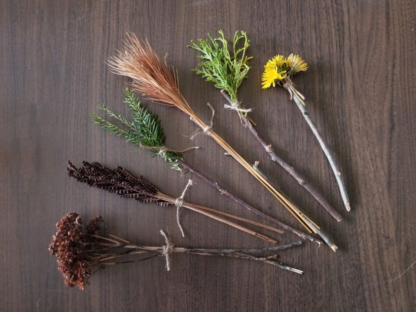 Nature paint brushes