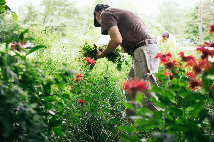 conservancy volunteer