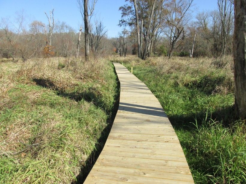 Boardwalk Wetland Trail