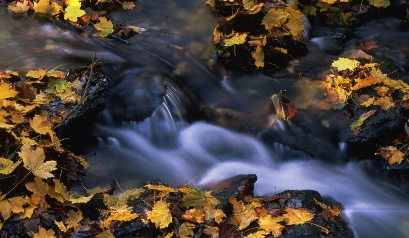 Brandywine Creek