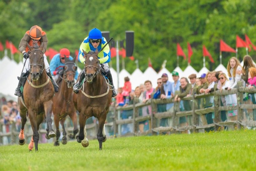 The Apprentice Jockey: Trodmore Hunt Races