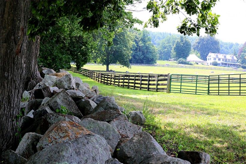 farm with rocks