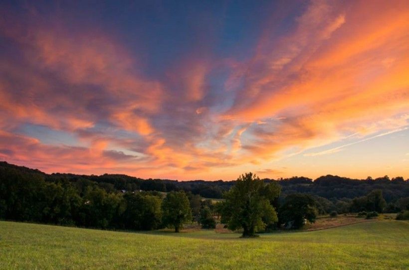 An open landscape with trees at sunset