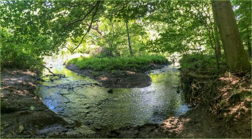 wide view of creek