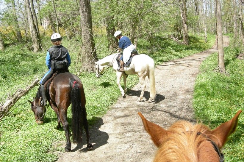 Brandywine Creek Greenway Trail Riders