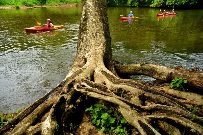 Enjoying a day on the Brandywine Creek, whose headwaters are located in Honey Brook Township. Photo by Charles George kayakers