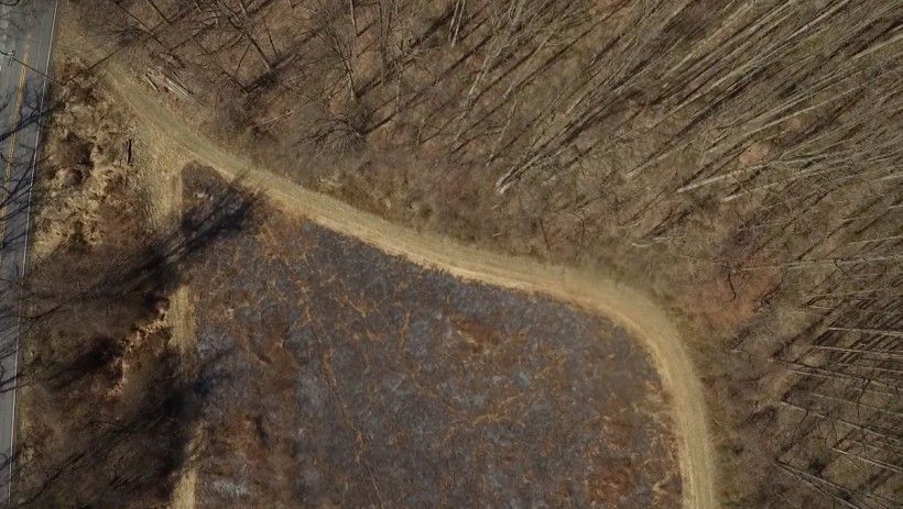 Area after it has been burned, showing the charred vegetation as well as the clear border between the burned field and the unburned woods. Photo by Jim Moore. Area after it has been burned, showing the charred vegetation as well as the clear border between the burned field and the unburned woods. Photo by Jim Moore.